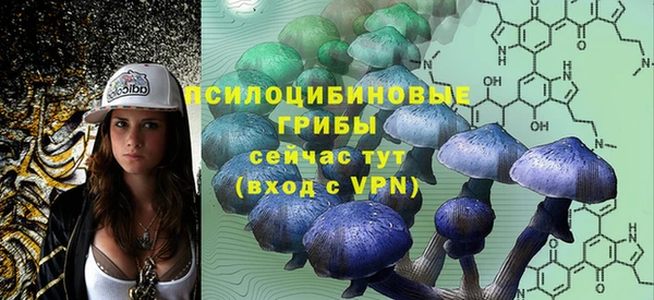 гашик Алзамай