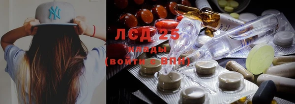 ПСИЛОЦИБИНОВЫЕ ГРИБЫ Алексин