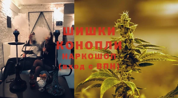 ПСИЛОЦИБИНОВЫЕ ГРИБЫ Алексин
