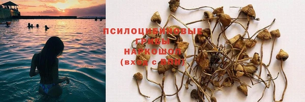 дмт Покачи