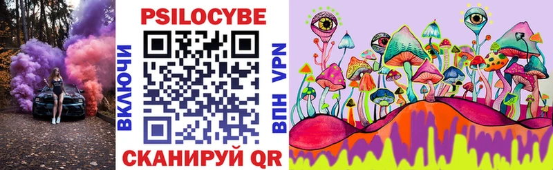 Псилоцибиновые грибы Cubensis  Наволоки 