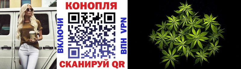 кракен tor  Наволоки  Марихуана гибрид 